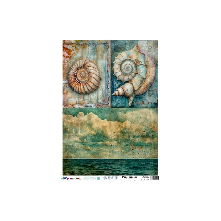 copy of 